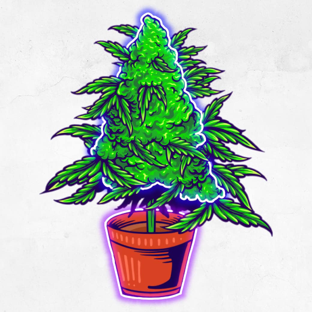 Potted Power – Cannabisplanta i Neon