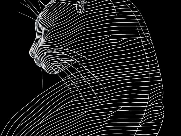 Neon Tavla Katt i Minimalistisk Stil