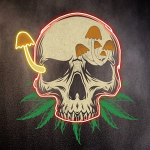 MycoMind – The Shroom Reaper