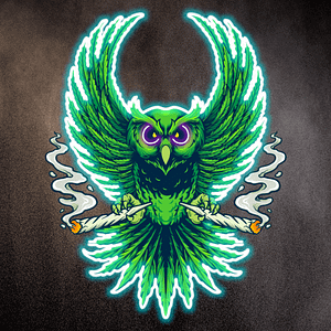 The High Guardian – Upplysningens uggla