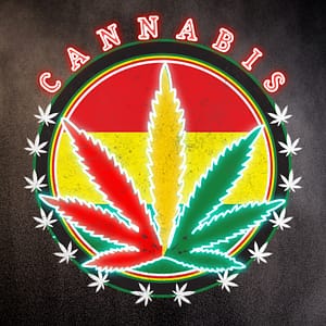Cannabis rötter