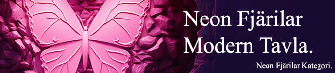 butterfly--banner-2